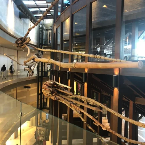 Fósiles en Movimiento y Avistamientos Temporales. Plaza de Toros La Serrezuela. Cartagena_ Fragmentos_ Ensamble de muebles