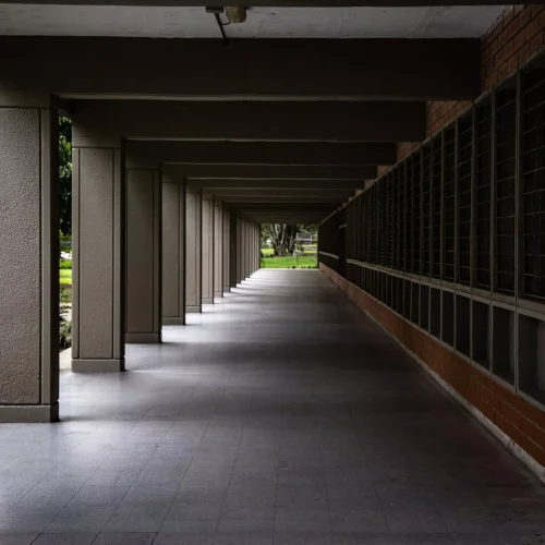 Rodrigo-Diaz-10-scaled