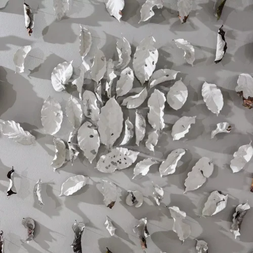 WhatsApp Image 2023-11-16 at 12.59.17 PM (3)