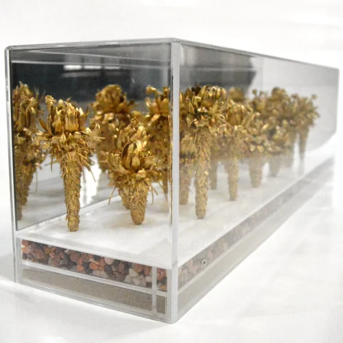 vmo-paramo-caja-pa-e